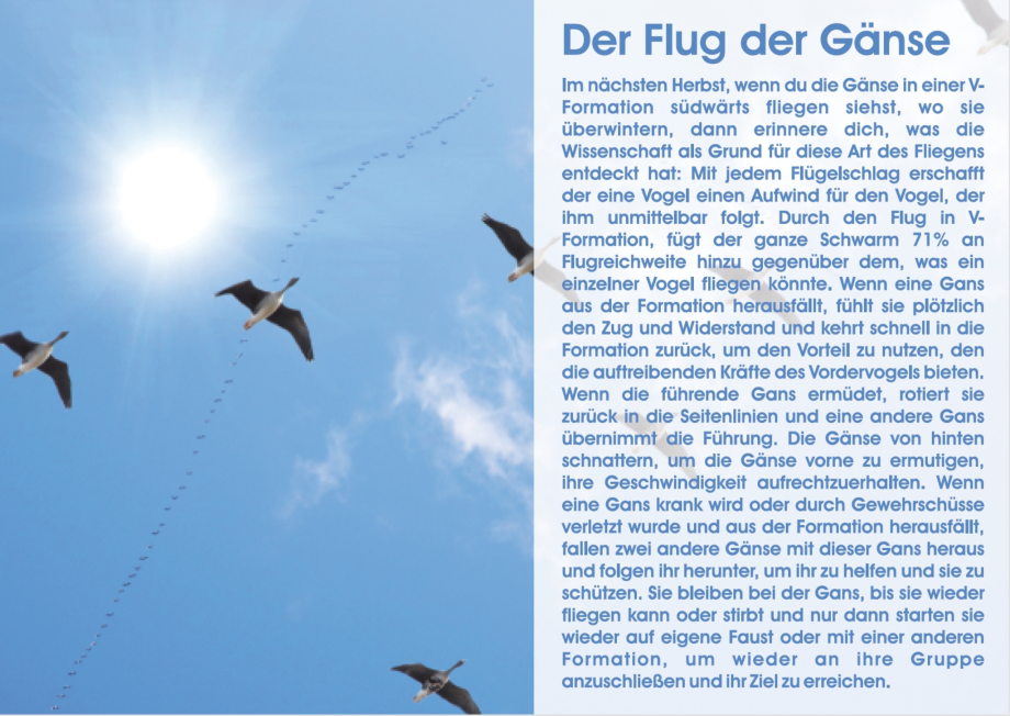 Der Flug der Gänse Nr. 22 - 10er Set